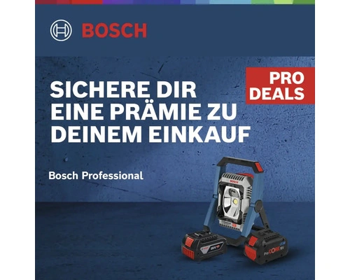 18V-Akku-Profi-Set Bosch Professional – Bohrschrauber & Winkelschleifer, 2x Akku 4.0Ah