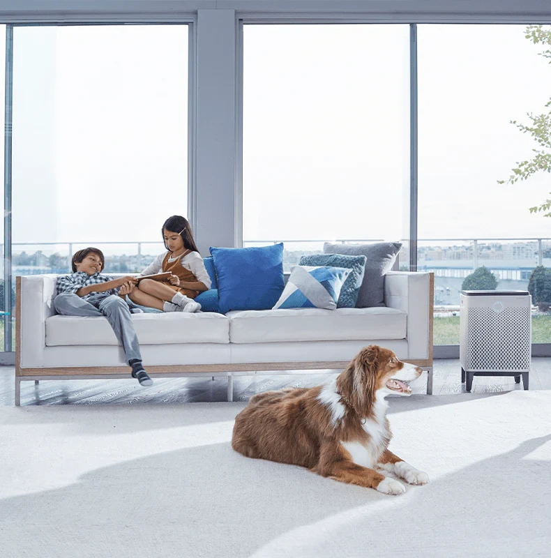 Coway Airmega 300S Luftreiniger