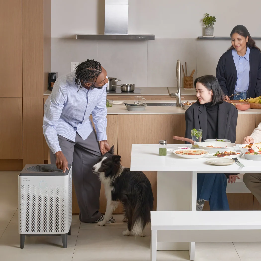 Coway Airmega 300S Luftreiniger